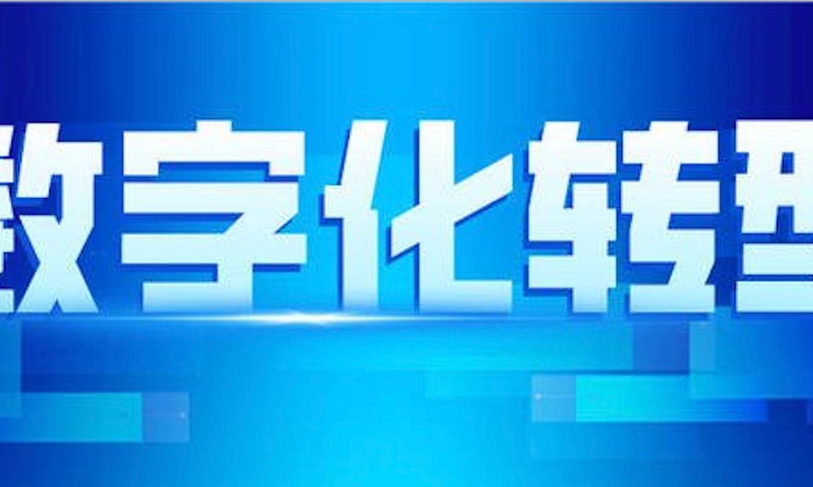 政府数字化转型 如何与民众“双在线”？